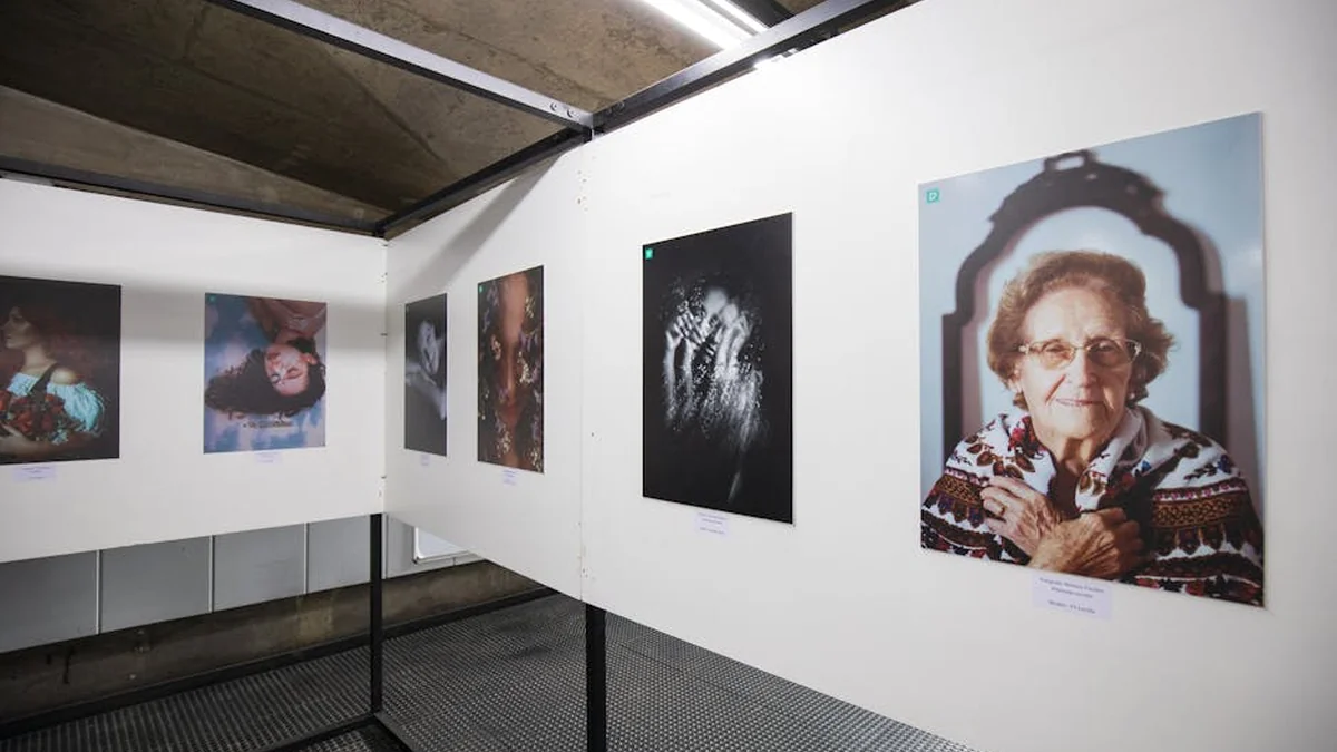 Minds Travelling Exhibition Opens at Bulgarian Embassy in Dublin