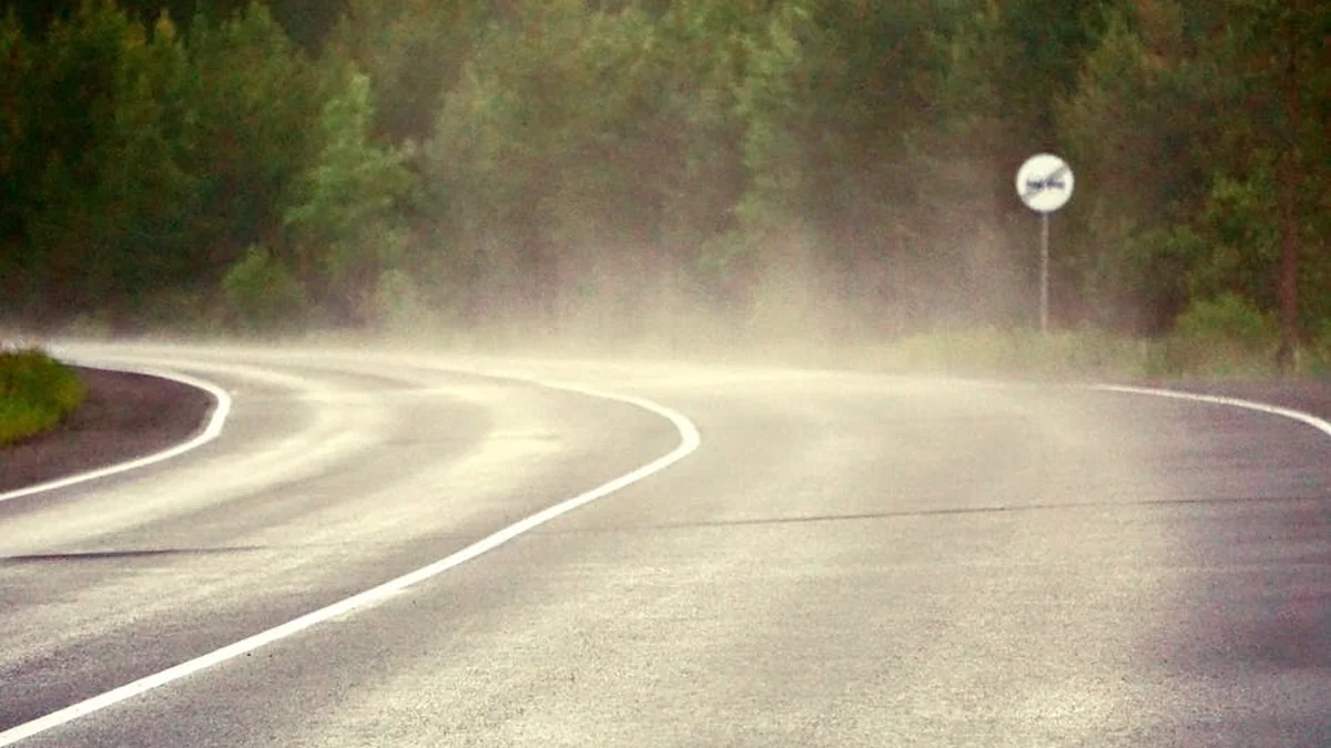 Probes Possible Mismanagement in Connection with Free Roadside Assistance at Road Authority
