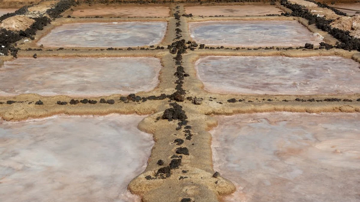 -Solnitsata Prehistoric Salt Works Receives European Heritage Label