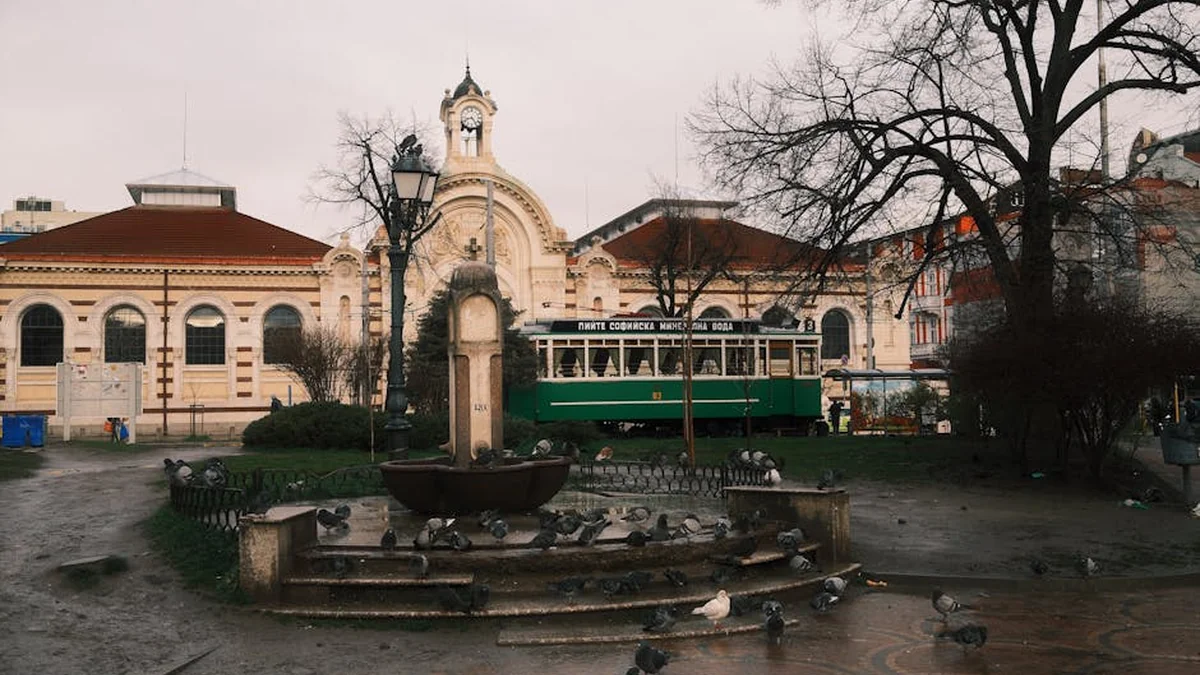 University Calls on Czech Authorities to Reconsider Closure of Czech Centre in Sofia