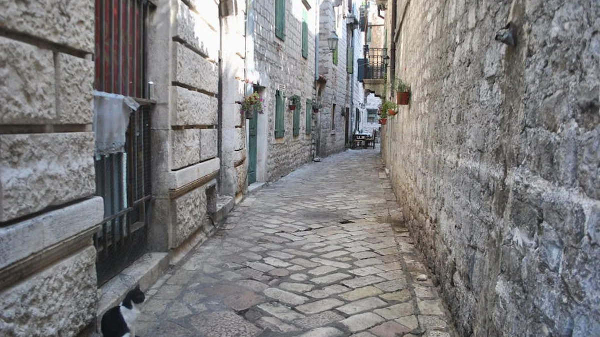 Alley of Freedom in Historic Oborishte Area Is Unveiled