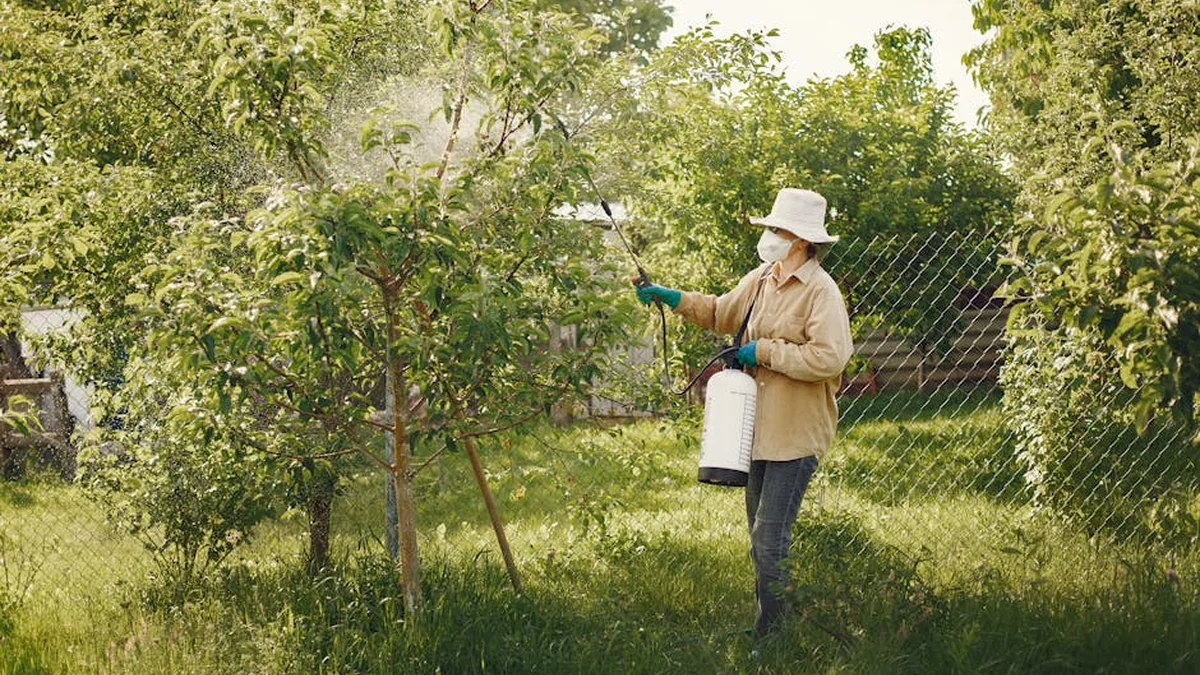 Of Hazardous Pesticides Found at Agricultural Warehouses in Vardim